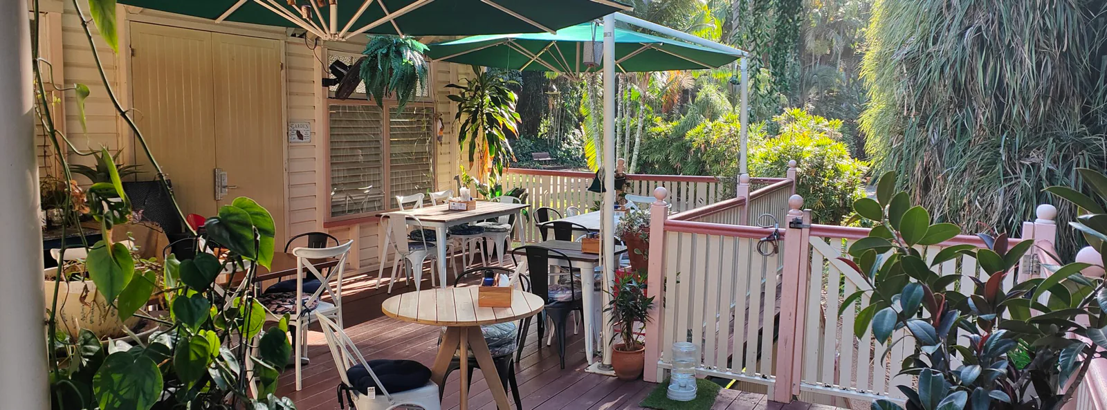 The leafy outdoor deck at Absolute Cravings overlooking the Palmetum Gardens