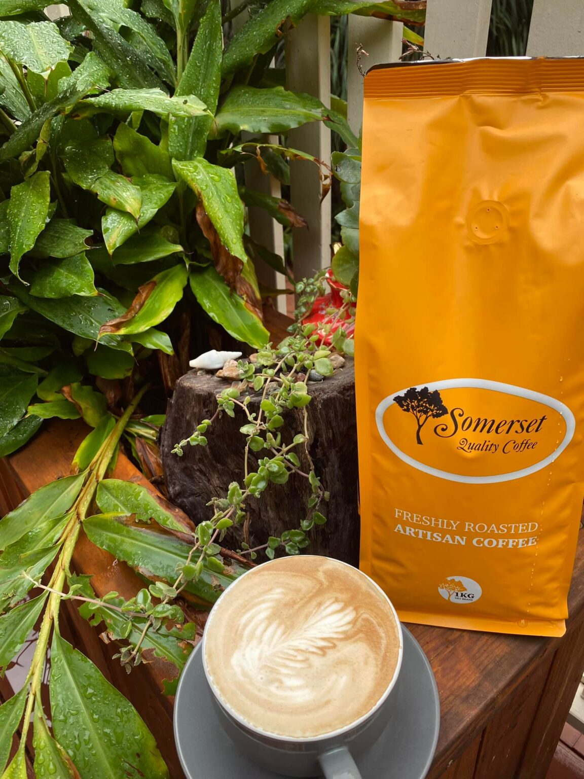 Somerset Coffee at Absolute Cravings Cafe Townsville – Absolute Cravings